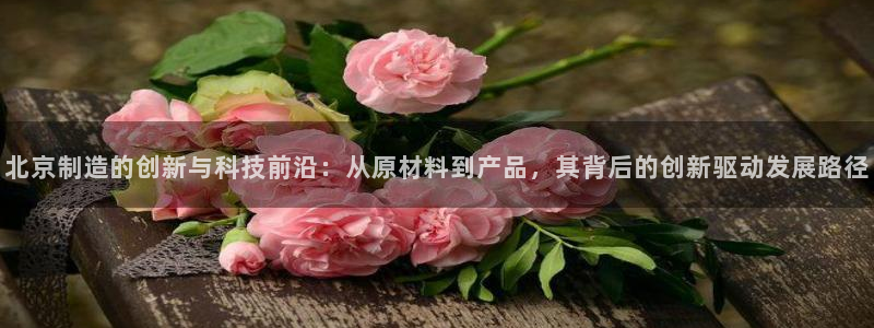 德国意昂3集团：北京制造的创新与科技前沿：从原材料到产品，其