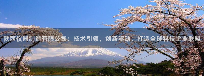 意昂体育3平台：陕西仪器制造有限公司：技术引领，创新驱动，打