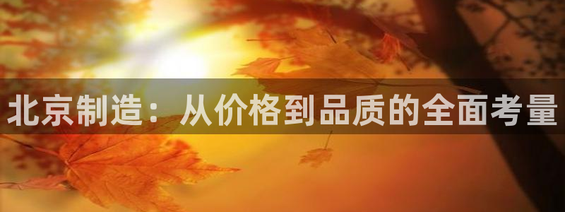 德国意昂3集团：北京制造：从价格到品质的全面考量