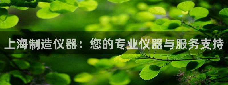 意昂3官方：上海制造仪器：您的专业仪器与服务支持