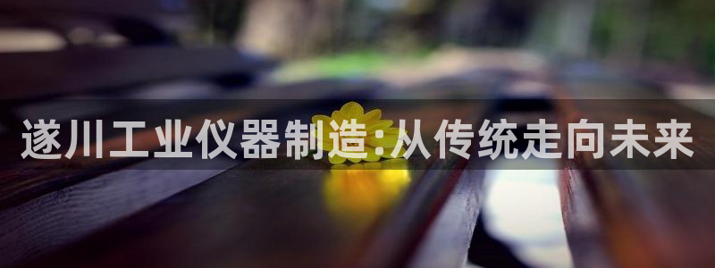意昂体育3注册：遂川工业仪器制造:从传统走向未来