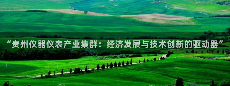 意昂3集团E.ON：“贵州仪器仪表产业集群：经济发展与技术创