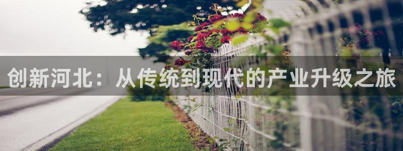 意昂体育3平台注册：创新河北：从传统到现代的产业升级之旅