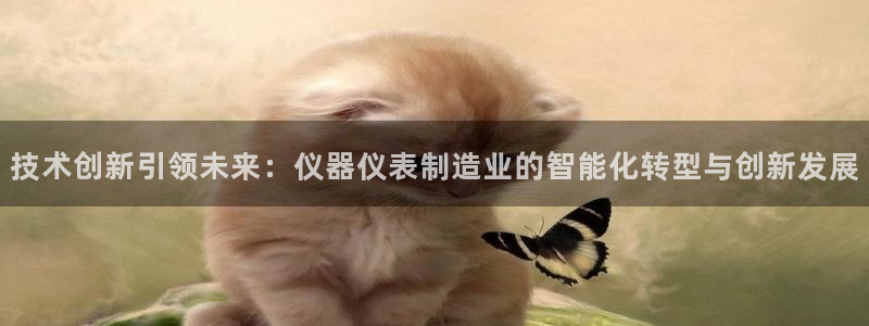 意昂体育3平台：技术创新引领未来：仪器仪表制造业的智能化转型