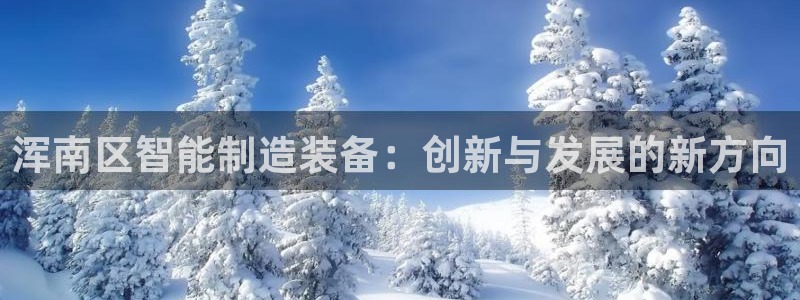 意昂3娱乐平台：浑南区智能制造装备：创新与发展的新方向