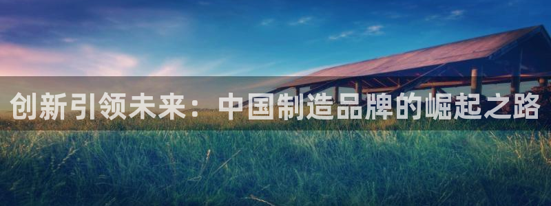意昂3娱乐首页网站大全：创新引领未来：中国制造品牌的崛起之路