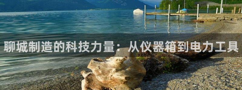 意昂3代理：聊城制造的科技力量：从仪器箱到电力工具