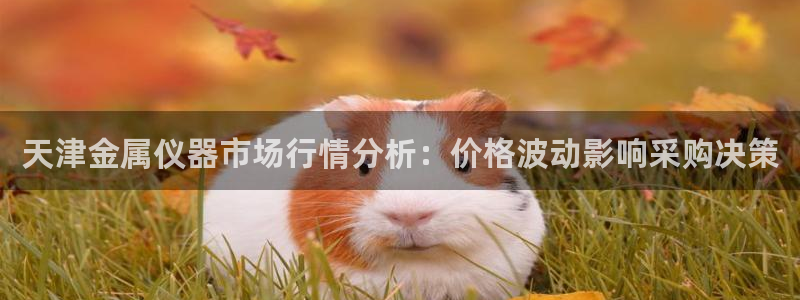 意昂体育3招商电话号码查询：天津金属仪器市场行情分析：价格波