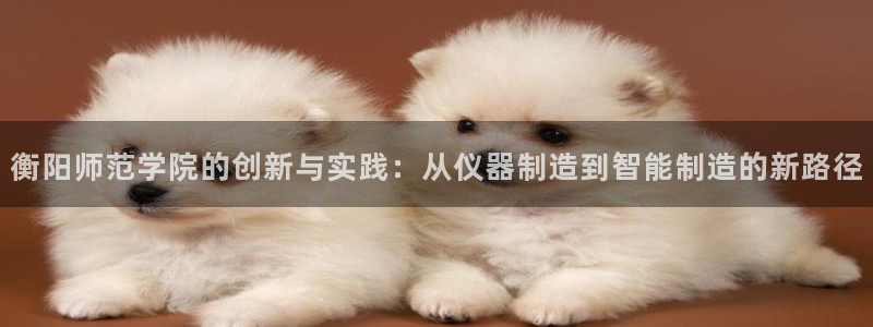 意昂3娱乐是那个系列的台子：衡阳师范学院的创新与实践：从仪器