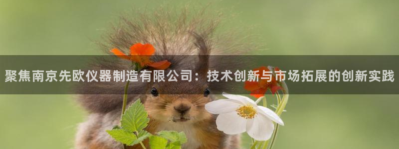 意昂体育3招商电话是多少号码：聚焦南京先欧仪器制造有限公司：