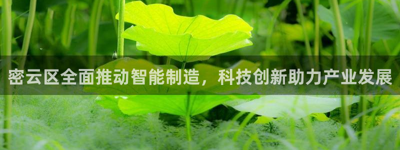 意昂体育3平台假的吗是真的吗吗：密云区全面推动智能制造，科技