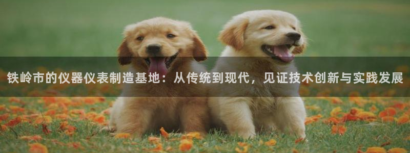 德国意昂3集团：铁岭市的仪器仪表制造基地：从传统到现代，见证