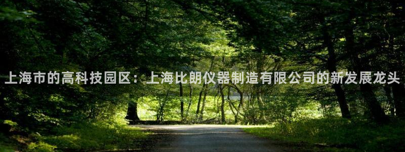 意昂体育3注册：上海市的高科技园区：上海比朗仪器制造有限公司