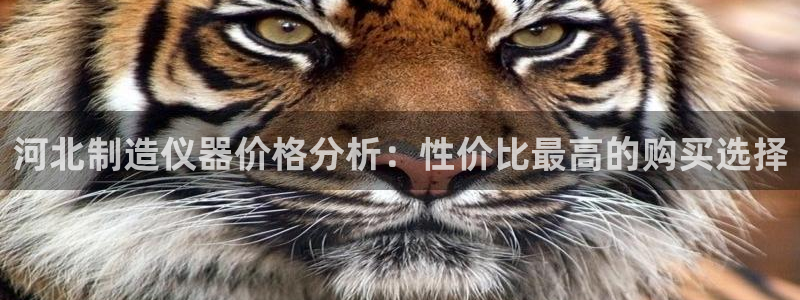 海南意昂体育3：河北制造仪器价格分析：性价比最高的购买选择