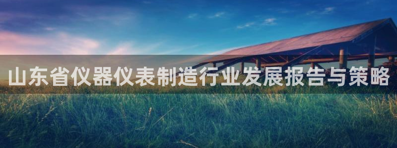 注册意昂3：山东省仪器仪表制造行业发展报告与策略
