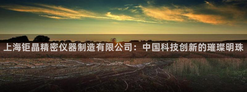 意昂3娱乐代理怎么样：上海钜晶精密仪器制造有限公司：中国科技