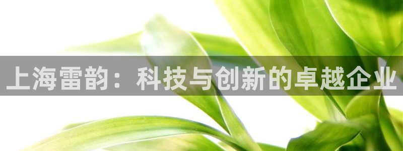 意昂体育3招商电话号码查询是多少：上海雷韵：科技与创新的卓越