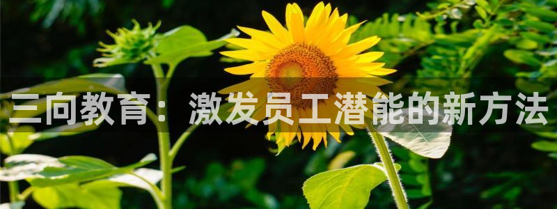 德国意昂3集团：三向教育：激发员工潜能的新方法