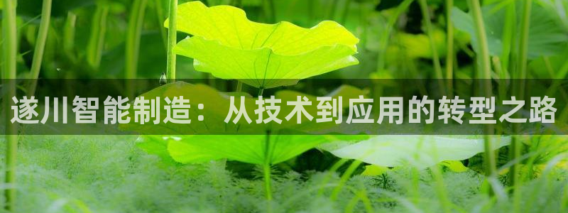 意昂体育3平台假的吗是真的吗：遂川智能制造：从技术到应用的转