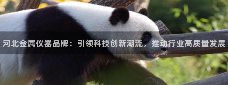 意昂体育3招商电话地址查询：河北金属仪器品牌：引领科技创新潮