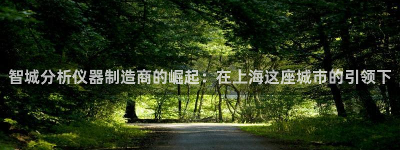 意昂3集团logo：智城分析仪器制造商的崛起：在上海这座城市