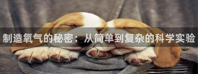 意昂体育3是干嘛的公司：制造氧气的秘密：从简单到复杂的科学实