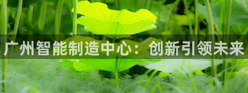 意昂体育3官方客服电话：广州智能制造中心：创新引领未来