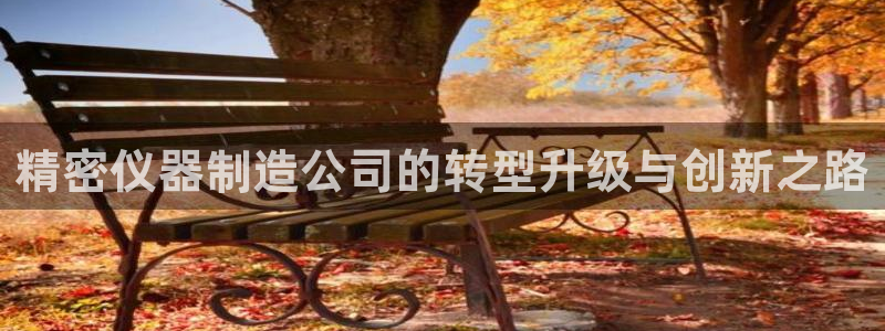 意昂3神州：精密仪器制造公司的转型升级与创新之路