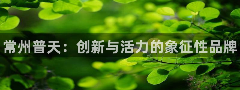 意昂体育3注册：常州普天：创新与活力的象征性品牌