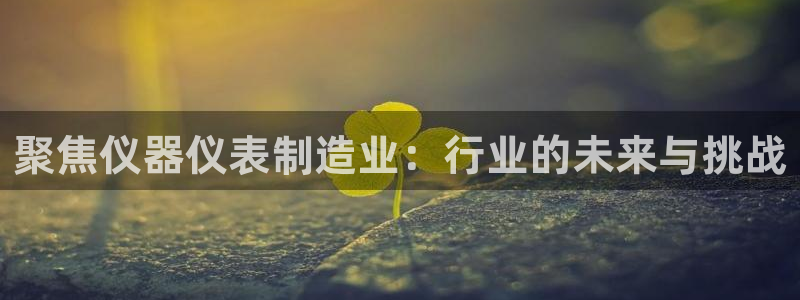 意昂体育3平台是正规平台吗：聚焦仪器仪表制造业：行业的未来与