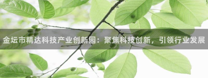 意昂体育3平台假的吗是真的吗吗：金坛市精达科技产业创新园：聚
