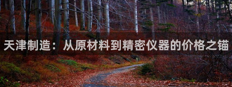 意昂体育3招商电话号码：天津制造：从原材料到精密仪器的价格之