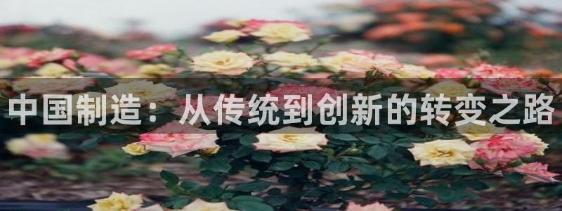 意昂体育3：中国制造：从传统到创新的转变之路