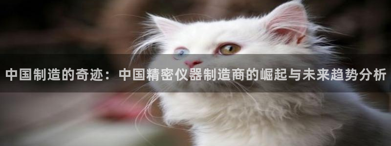 意昂体育3招商电话：中国制造的奇迹：中国精密仪器制造商的崛起