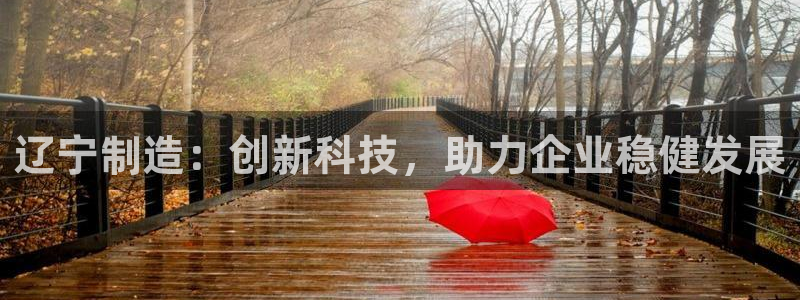 意昂体育3平台注册流程视频：辽宁制造：创新科技，助力企业稳健