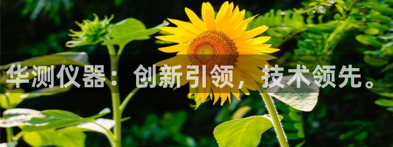 注册意昂3：华测仪器：创新引领，技术领先。