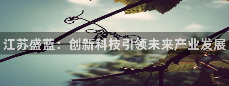 意昂3娱乐：江苏盛蓝：创新科技引领未来产业发展