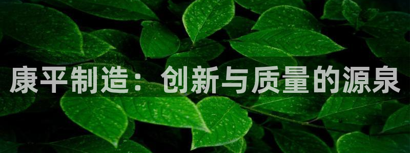 意昂体育3平台注册要钱吗：康平制造：创新与质量的源泉