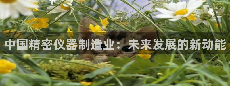 意昂体育3注册：中国精密仪器制造业：未来发展的新动能