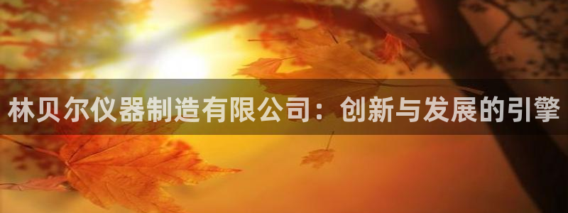 意昂体育3平台注册要钱吗：林贝尔仪器制造有限公司：创新与发展