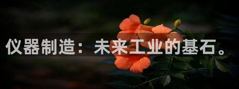 意昂体育3招商电话地址查询：仪器制造：未来工业的基石。