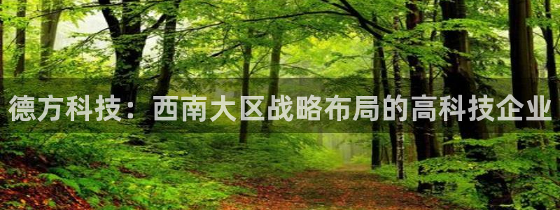 意昂3集团简介：德方科技：西南大区战略布局的高科技企业