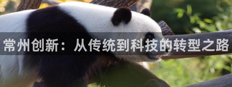 意昂3娱乐40996：常州创新：从传统到科技的转型之路