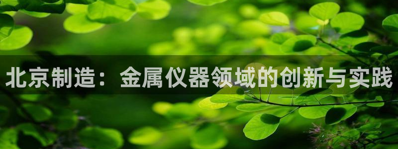 意昂3娱乐首页网站大全：北京制造：金属仪器领域的创新与实践