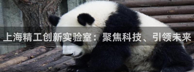 意昂体育3招商电话号码查询：上海精工创新实验室：聚焦科技、引