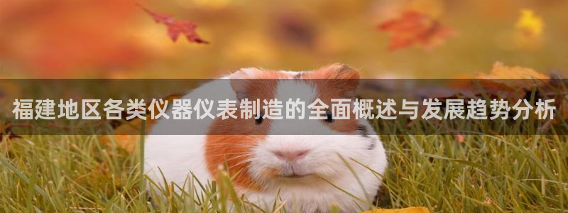 意昂体育3招商电话号码是多少号：福建地区各类仪器仪表制造的全