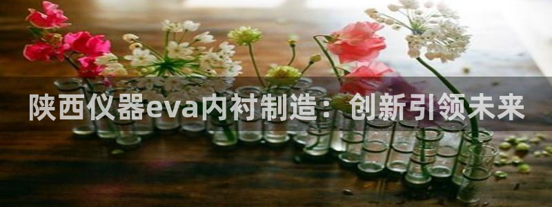 意昂体育3平台注册流程视频：陕西仪器eva内衬制造：创新引领