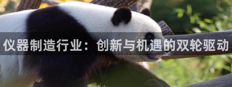 意昂体育3招商电话号码是多少：仪器制造行业：创新与机遇的双轮