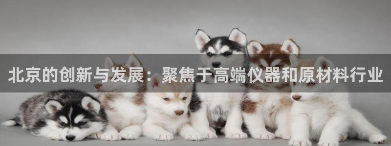 意昂体育3开户：北京的创新与发展：聚焦于高端仪器和原材料行业