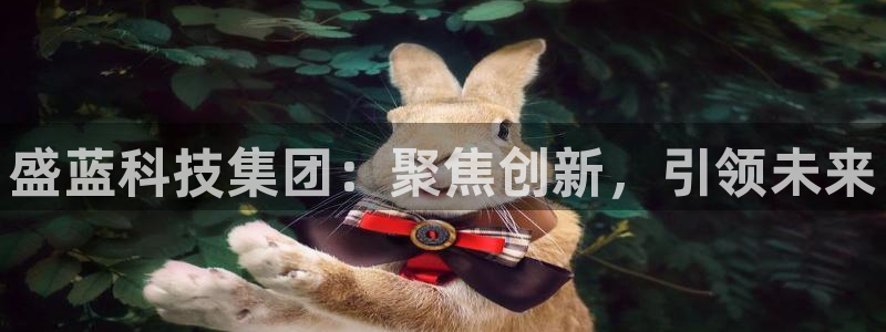 意昂体育3招商电话是多少：盛蓝科技集团：聚焦创新，引领未来